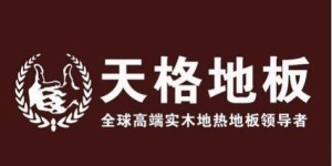 公司介绍
